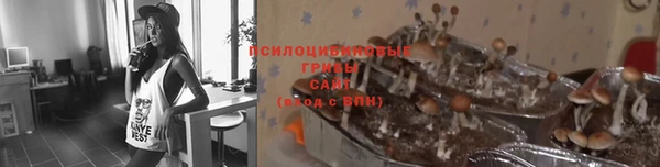 стафф Белоозёрский