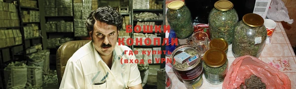 гашик Богданович