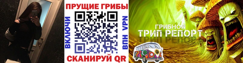 Псилоцибиновые грибы прущие грибы где найти наркотики Боровск